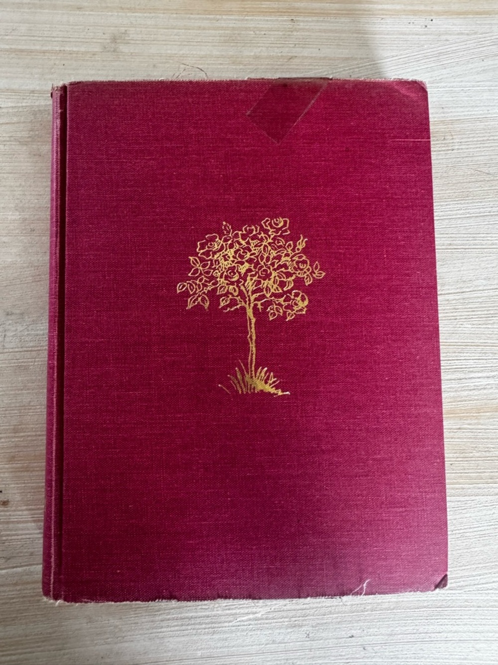 The Secret Garden By Frances Burnett Pictures By Tasha Tudor 1962